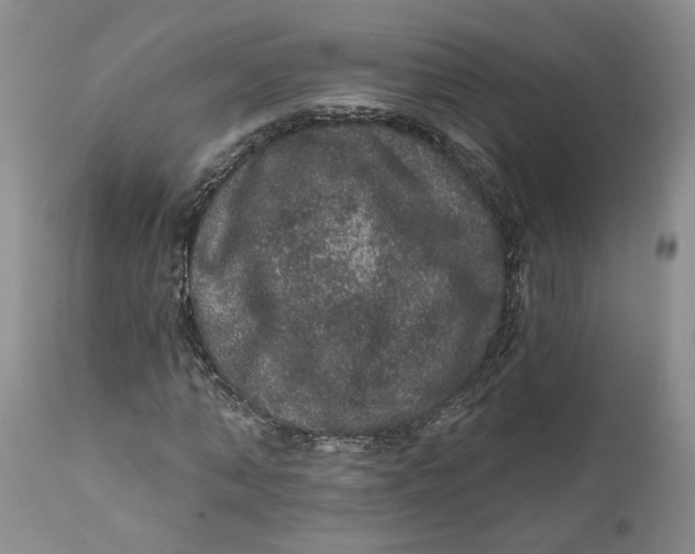 X0000112160870200908281401