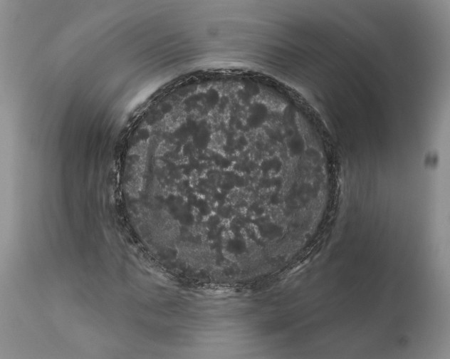 X0000112160871200908281401