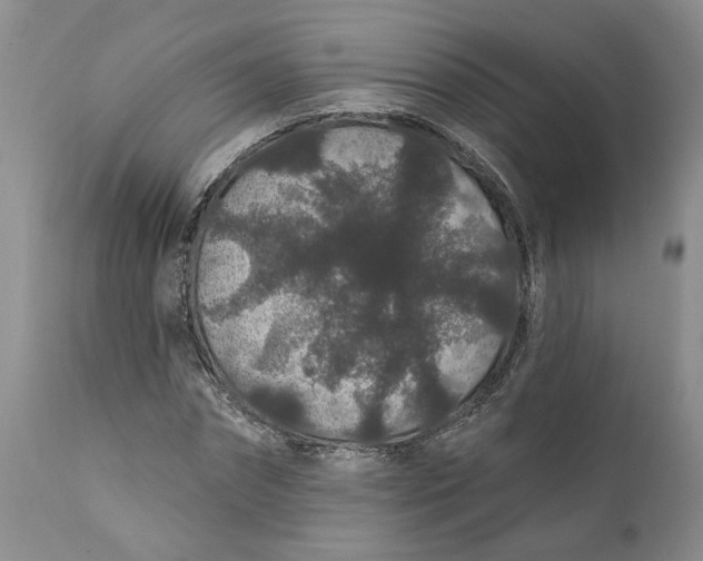 X0000112160874200908281401