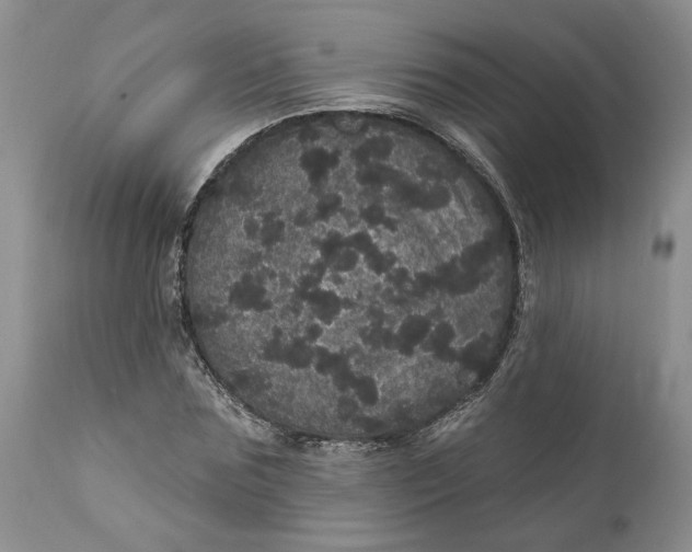 X0000112160875200908281401