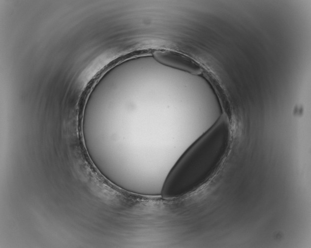 X0000112160877200908281401