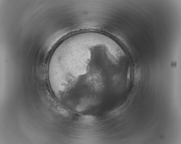 X0000112160878200908281401