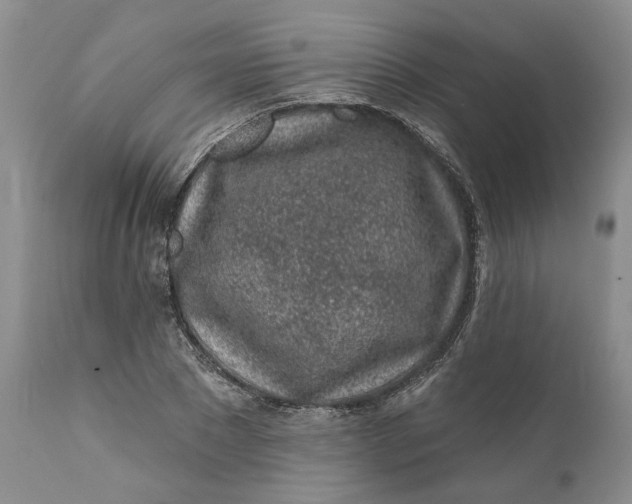 X0000112160881200908281401