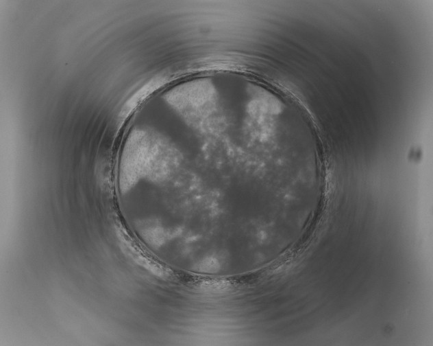 X0000112160882200908281401