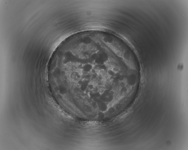 X0000112160883200908281401