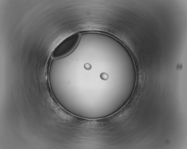 X0000112160885200908281401