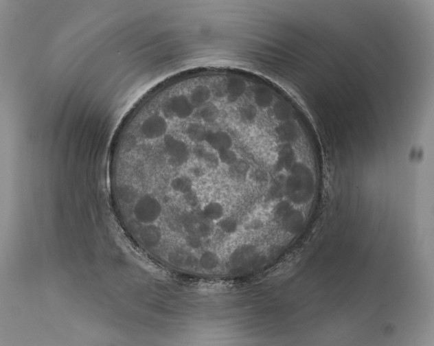 X0000112160887200908281401