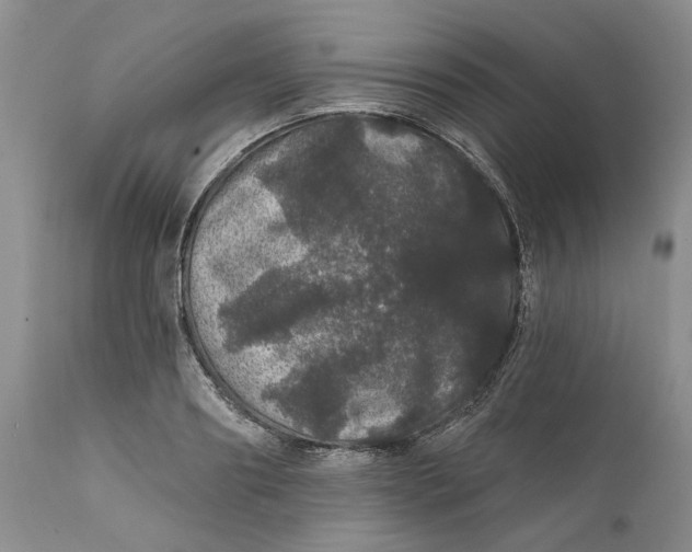 X0000112160890200908281401