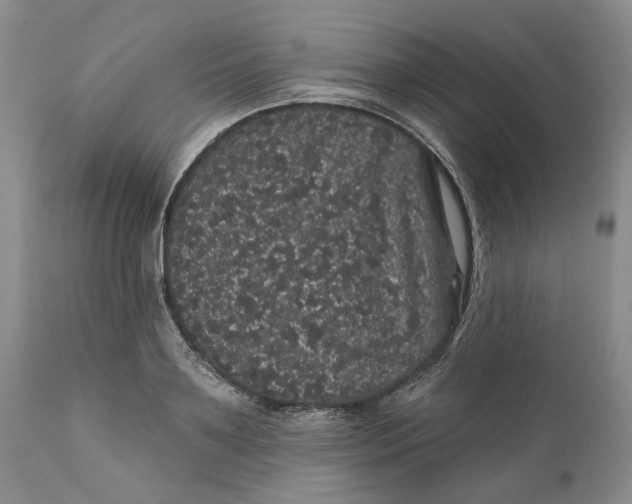 X0000112160891200908281401