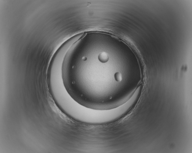 X0000112160892200908281401