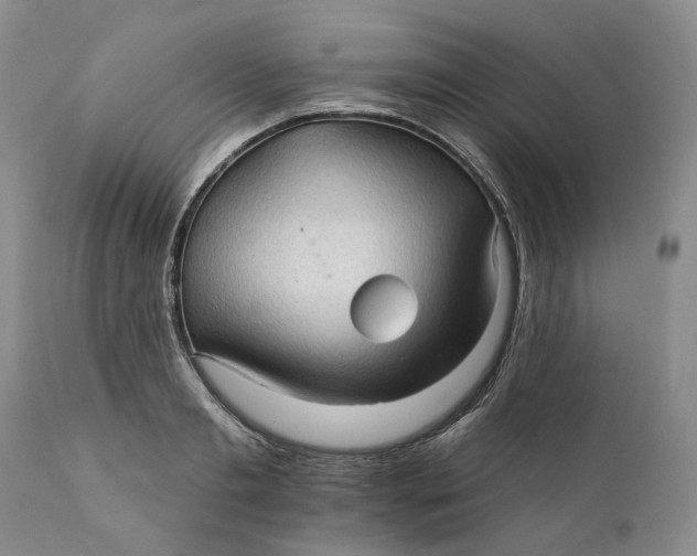 X0000112160893200908281401