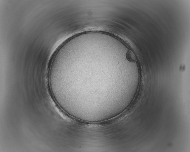 X0000112160894200908281401