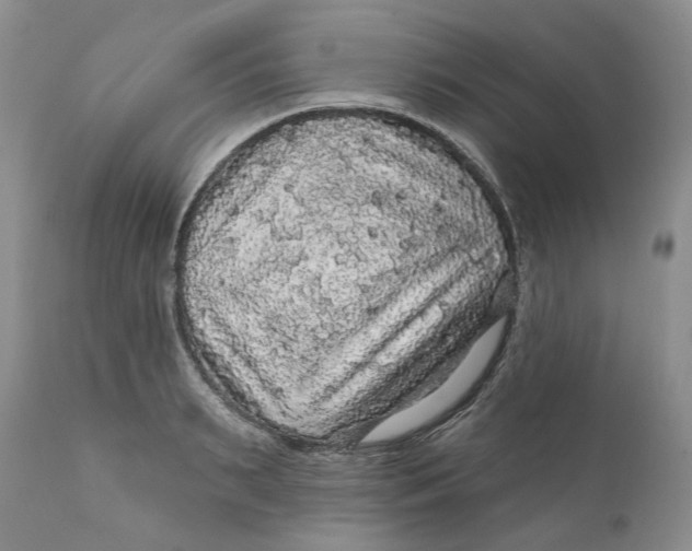 X0000112160895200908281401