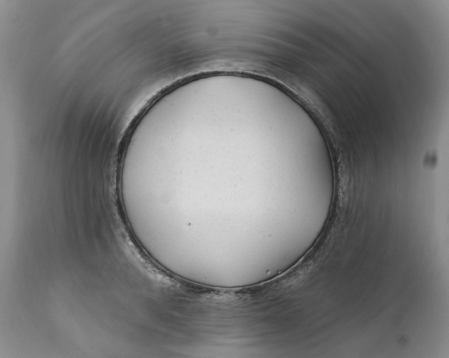 X0000112160896200908281401