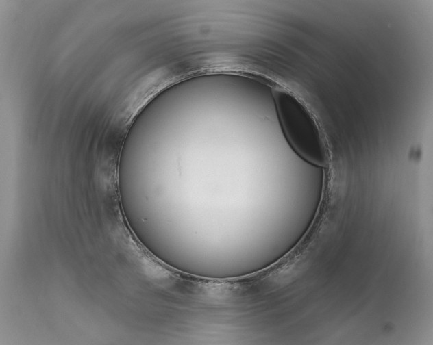 X0000112160897200908281401