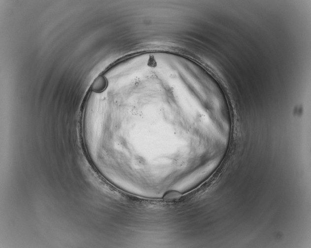 X0000112160899200908281401