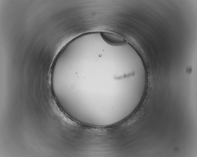 X0000112160900200908281401