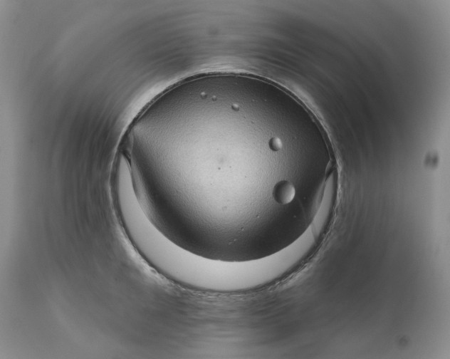 X0000112160901200908281401