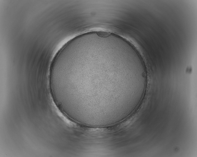 X0000112160902200908281401