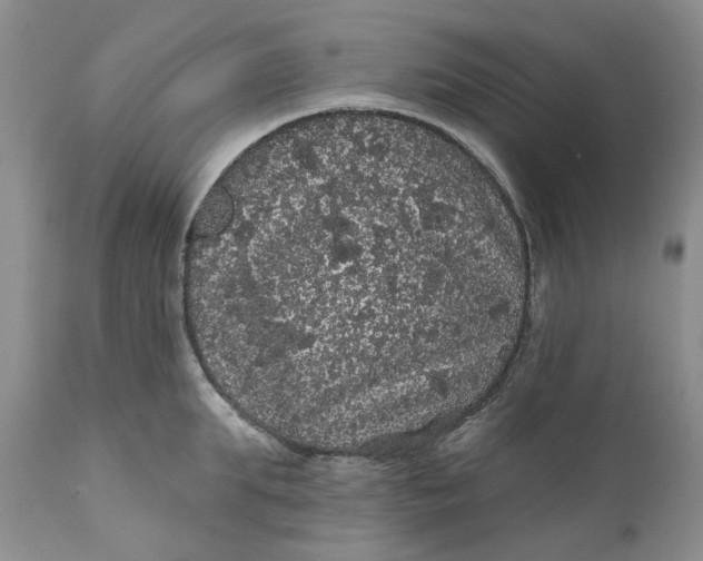 X0000112160903200908281401