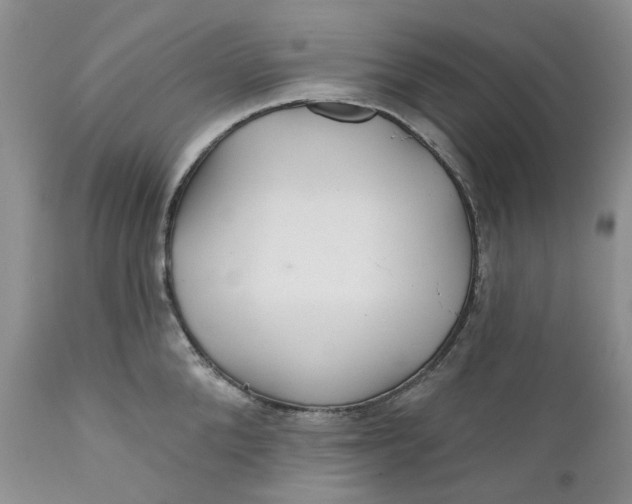 X0000112160904200908281401