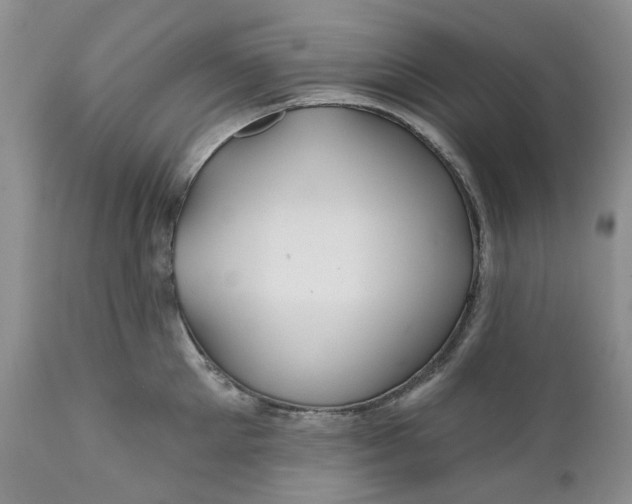 X0000112160905200908281401