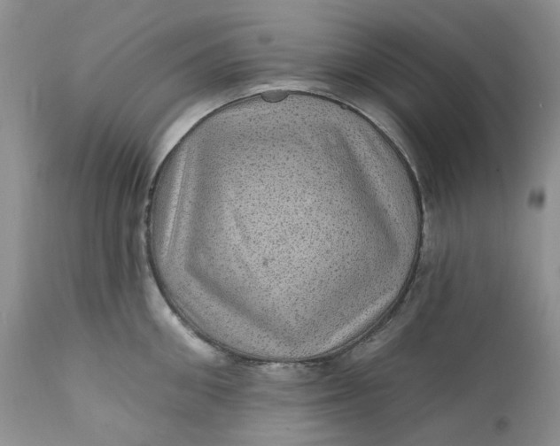 X0000112160906200908281401