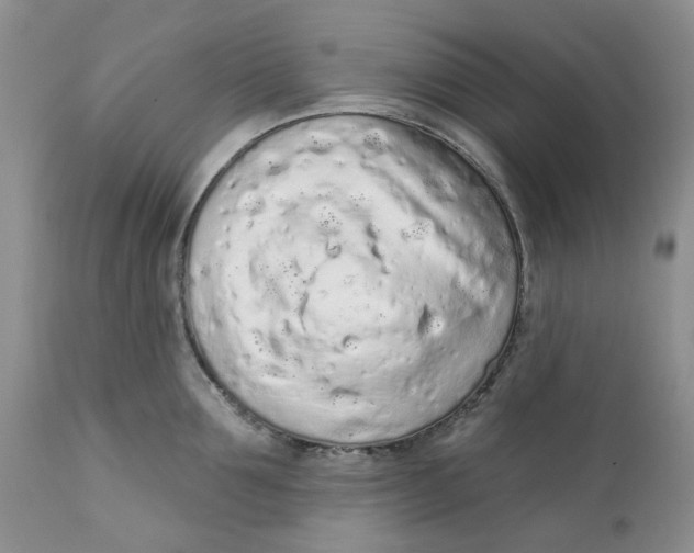 X0000112160907200908281401