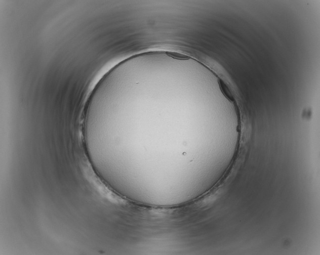 X0000112160908200908281401