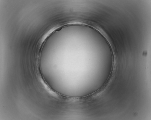 X0000112160909200908281401