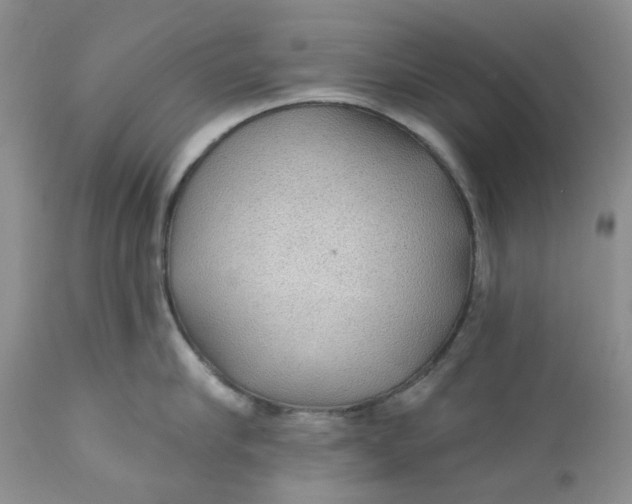 X0000112160910200908281401