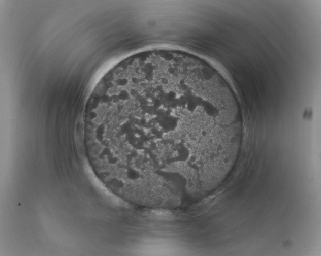 X0000112160911200908281401