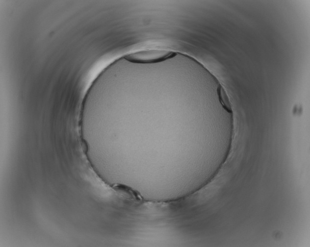 X0000112160912200908281401