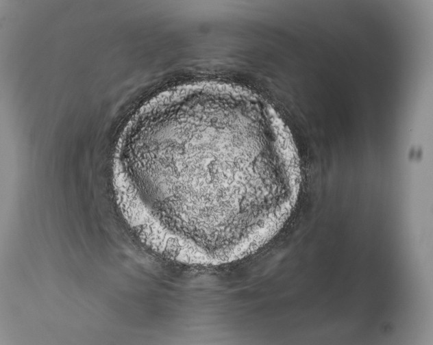 X0000112160913200908281400