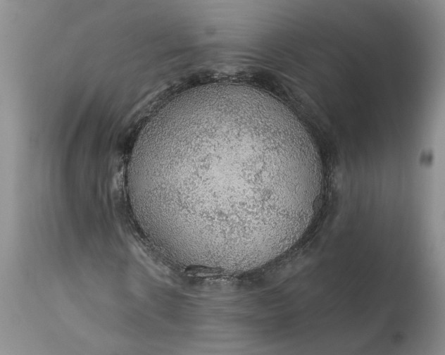 X0000112160914200908281400