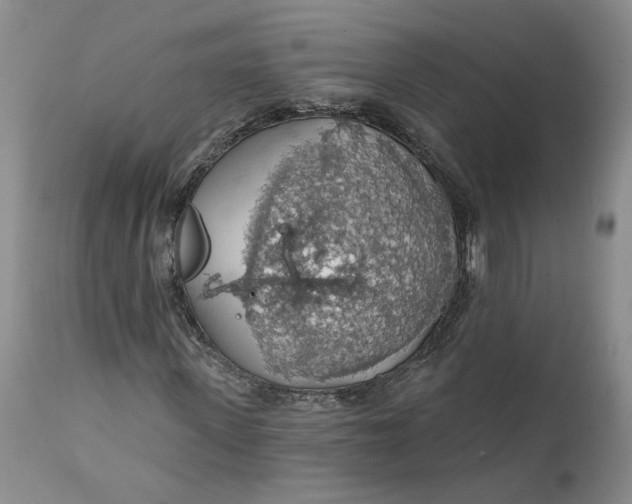 X0000112160915200908281400