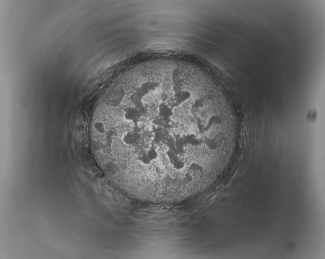 X0000112160917200908281400