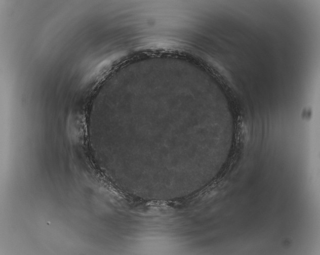 X0000112160918200908281400