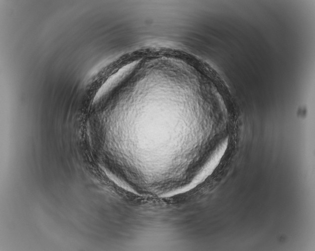 X0000112160919200908281400