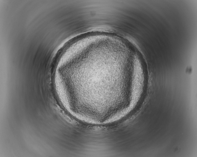 X0000112160923200908281400