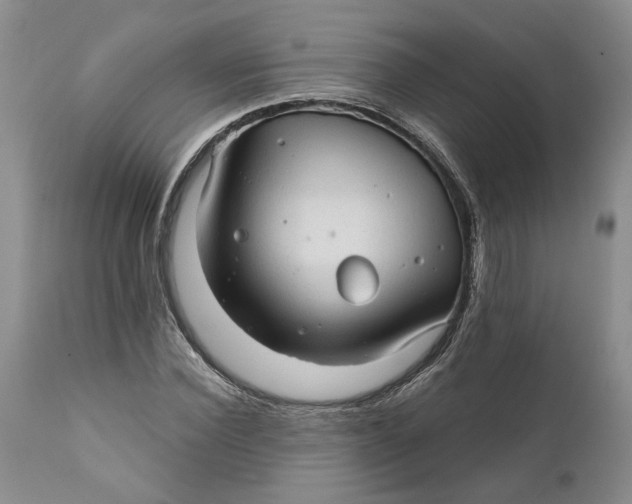 X0000112160924200908281400