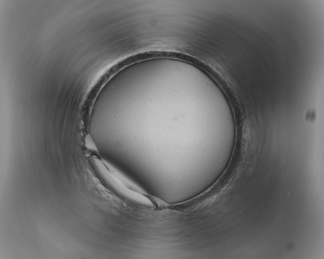 X0000112160926200908281400