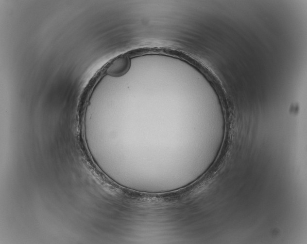 X0000112160927200908281400