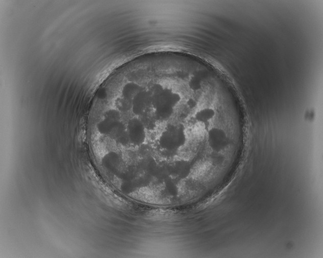 X0000112160929200908281400