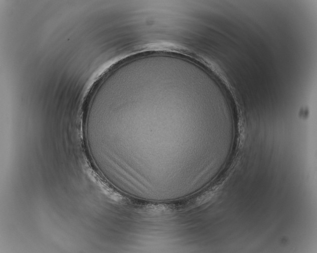 X0000112160931200908281400