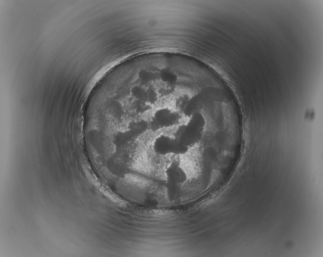 X0000112160933200908281400