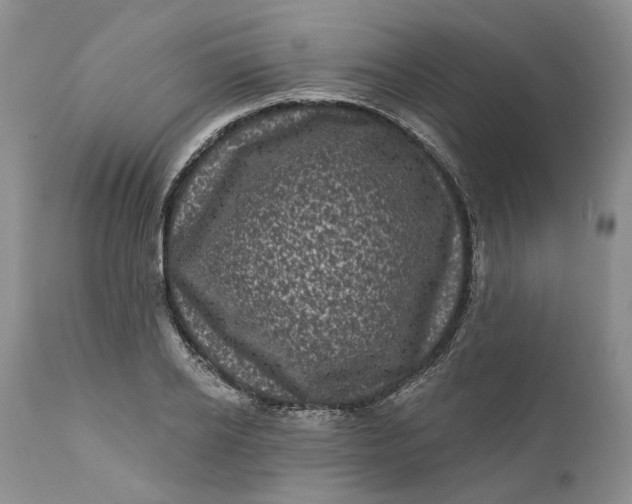 X0000112160934200908281400