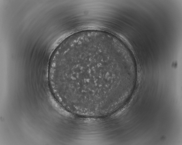 X0000112160938200908281400