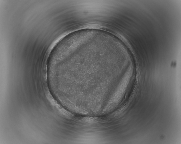 X0000112160939200908281400