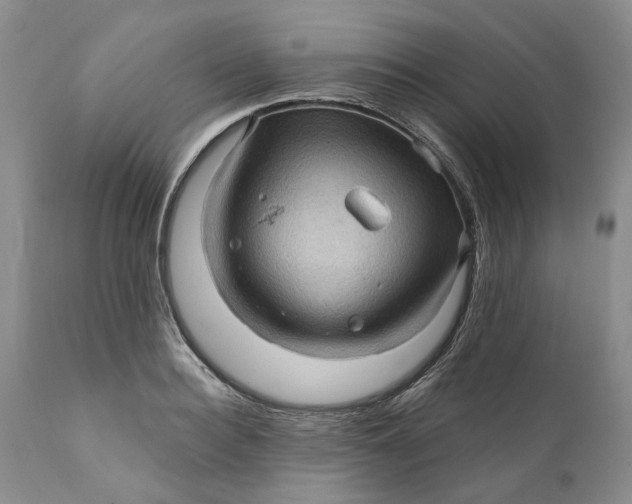 X0000112160940200908281400